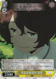 card519271-series390039-rarity557104