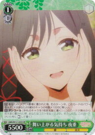 card520421-series391271-rarity557104