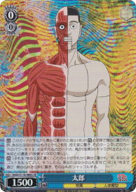 card520563-series391478-rarity557104