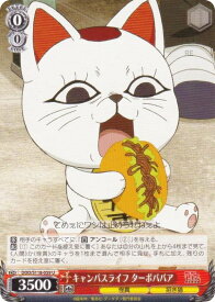 card520603-series391478-rarity557246