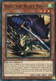 card521319-series377276-rarity540535
