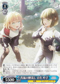 card522077-series393105-rarity557243