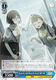 card522111-series393105-rarity557246