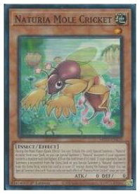 card523536-series377275-rarity540535