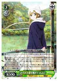 card523851-series394692-rarity557275