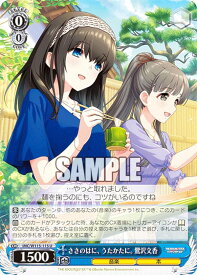 card525962-series397016-rarity557246