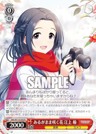 card526098-series397016-rarity557285