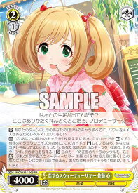 card526192-series397016-rarity557275