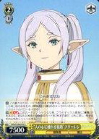 card527473-series398414-rarity557246