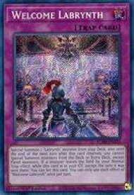 card527327-series377313-rarity540537