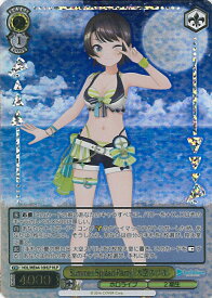 card527673-series398696-rarity571129