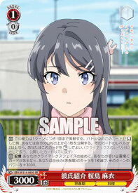 card527730-series398852-rarity557104
