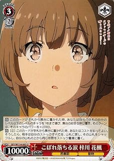 card527778-series398852-rarity557246