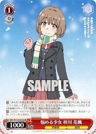 card527804-series398852-rarity557104