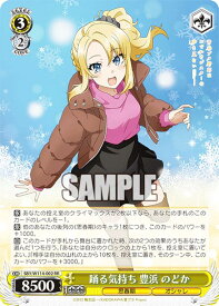 card527903-series398852-rarity557275