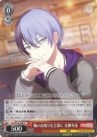 card528903-series399992-rarity557246