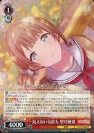 card528860-series399992-rarity557246