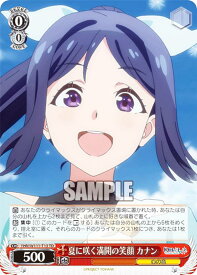 card529663-series400857-rarity557066
