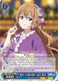 card529847-series401037-rarity557243