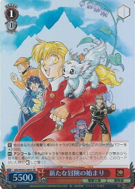 card531212-series402477-rarity557104