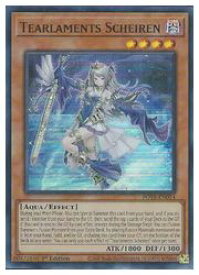 card531307-series398885-rarity540535