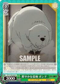 card531867-series403026-rarity557246