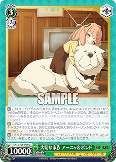 card531873-series403026-rarity557246