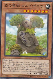 card2605-series5646-rarity1