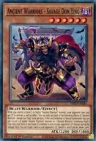 card533079-series377568-rarity540534