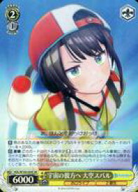 card533875-series404880-rarity557104