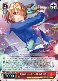 card535115-series406445-rarity557136