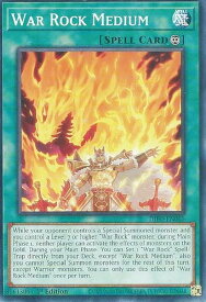 card536997-series377568-rarity540534