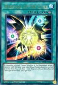 card543384-series373168-rarity540536