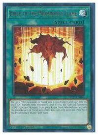 card553425-series373168-rarity540551