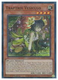 card555959-series373168-rarity540535