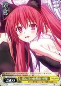 card557840-series429745-rarity557243