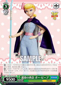 card558076-series430106-rarity557104