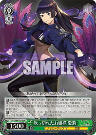card558982-series430930-rarity557104
