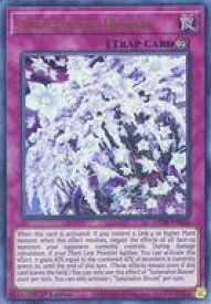 card559738-series430895-rarity540536