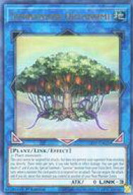 card560163-series430895-rarity540536