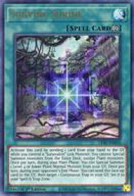 card560174-series430895-rarity540536