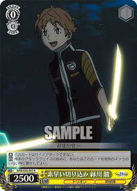 card561827-series433780-rarity557285