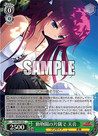 card563053-series435006-rarity557243