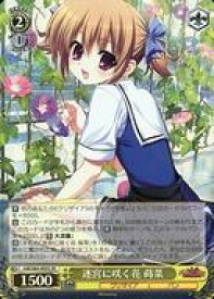 card563118-series435006-rarity557104