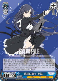 card560524-series436277-rarity557104