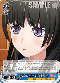 card564395-series436511-rarity557246