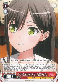 card564415-series436511-rarity557243