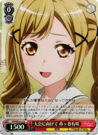 card564460-series436511-rarity557246