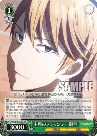 card565801-series437867-rarity557104