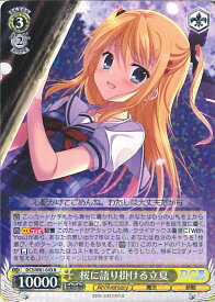 card566506-series438671-rarity557285